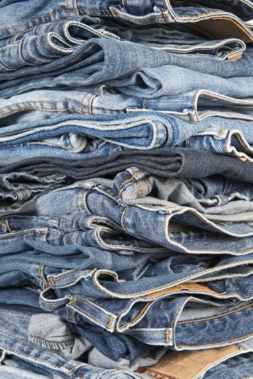 Top Five Reasons I Don’t Allow Blue Jeans at Work - Learn2GroomDogs
