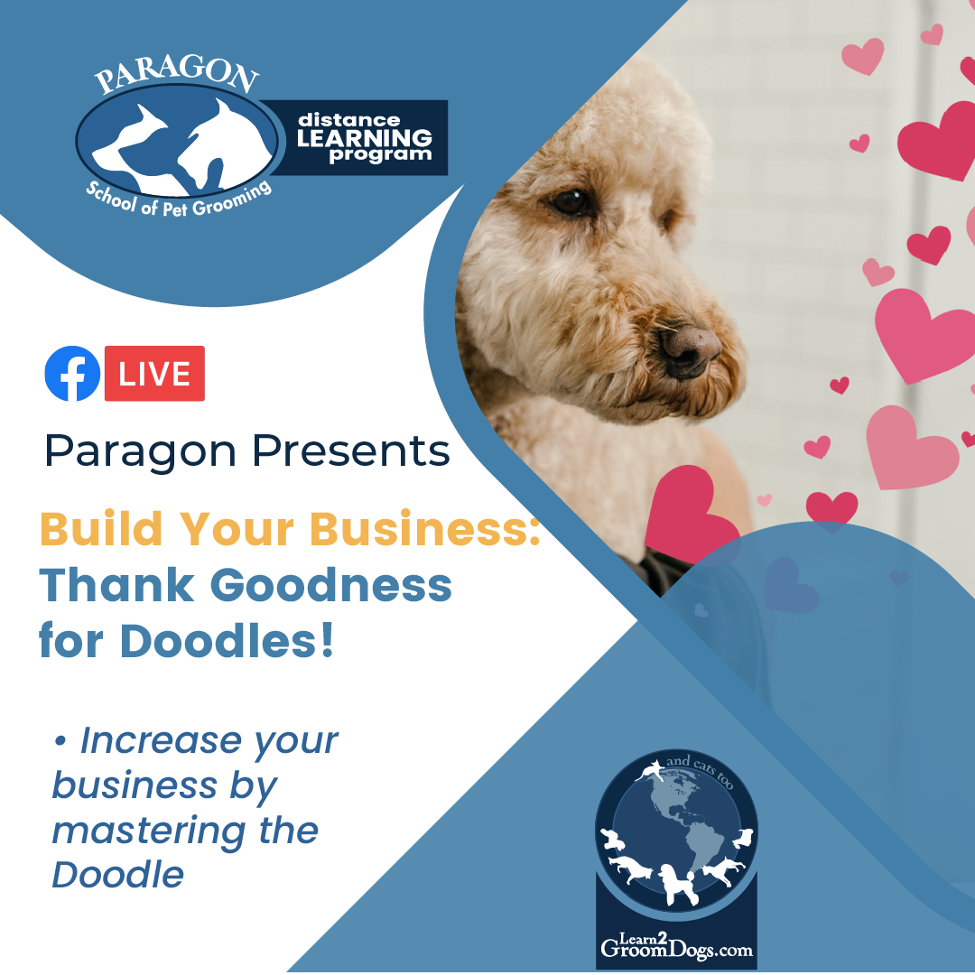 Hey Joe! Podcast - Paragon School of Pet Grooming